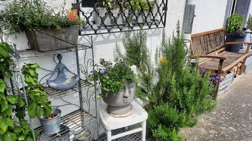 Florentiner Haus Киферсфелден Екстериор снимка